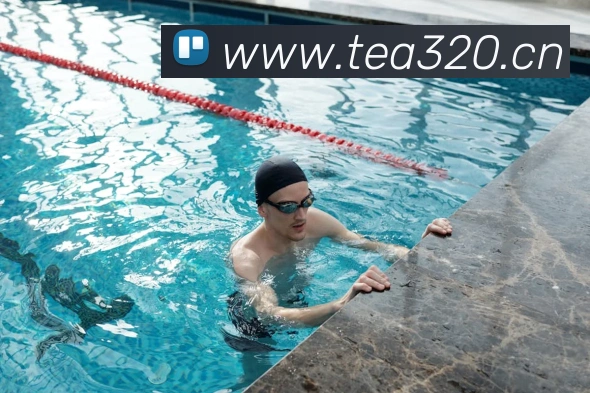 App Interface Preview